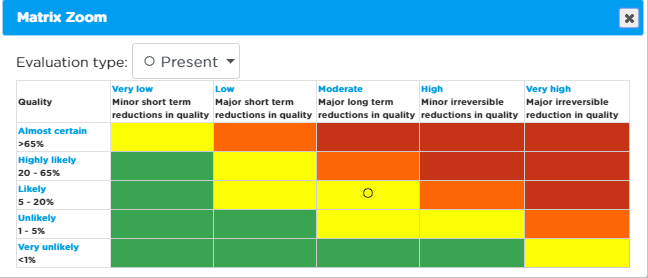 Detailed Risk Matrix view.